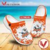 San Diego Gulls Logo Crocs Shoes For Men And Women, Unique Clogs Shoes For Fans - Vesles2014S