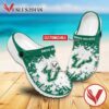 South Florida Logo Custom Crocs Shoes For Men And Women, Unique Clogs Shoes For Fans - Vesles2014S