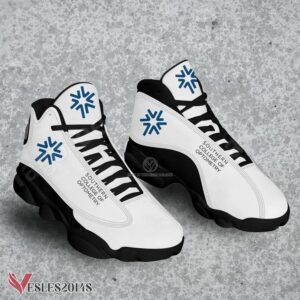 Southern College of Optometry Logo Air Jordan 13 Shoes, Best Sneaker Gifts For Fans - Vesles2014s