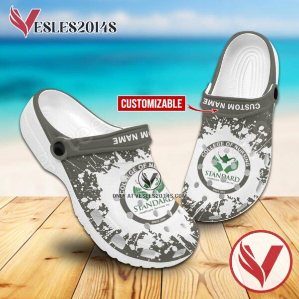 Standard Healthcare Services-College of Nursing Crocs Shoes For Men And Women, Unique Clogs Shoes For Fans - Vesles2014S