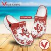 Texas Instruments Logo Crocs Shoes For Men And Women, Unique Clogs Shoes For Fans - Vesles2014S