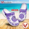 The City College of New York Custom Crocs Shoes For Men And Women, Unique Clogs Shoes For Fans - Vesles2014S