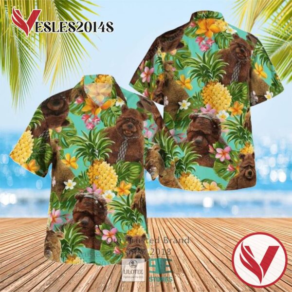 The Muppet Brown Bear Cartoon Casual Hawaiian Shirt, Best Gifts For Summer Vesles2014S 1