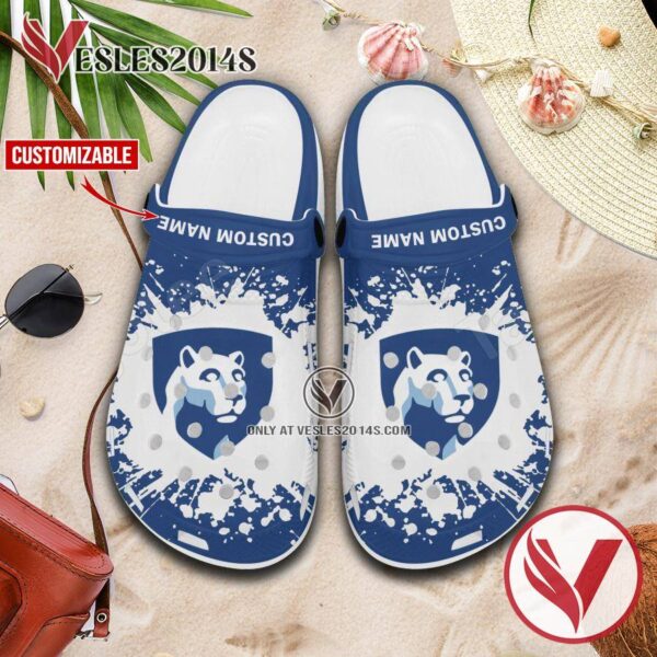 The Pennsylvania State University-Penn State Hazleton Crocs Shoes For Men And Women, Unique Clogs Shoes For Fans - Vesles2014S 1