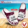 The Temple-A Paul Mitchell Partner School Logo Crocs Shoes For Men And Women, Unique Clogs Shoes For Fans - Vesles2014S