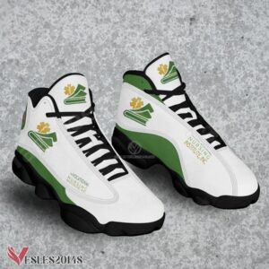 The Vocational Nursing Institute Inc Logo Air Jordan 13 Shoes, Best Sneaker Gifts For Fans - Vesles2014s 1