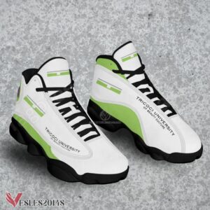 Tricoci University of Beauty Culture Logo Air Jordan 13 Shoes, Best Sneaker Gifts For Fans - Vesles2014s 1