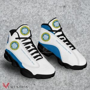 University of California-Irvine Air Jordan 13 Shoes, Best Sneaker Gifts For Fans - Vesles2014s 1