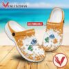 Urban College of Boston Custom Crocs Shoes For Men And Women, Unique Clogs Shoes For Fans - Vesles2014S