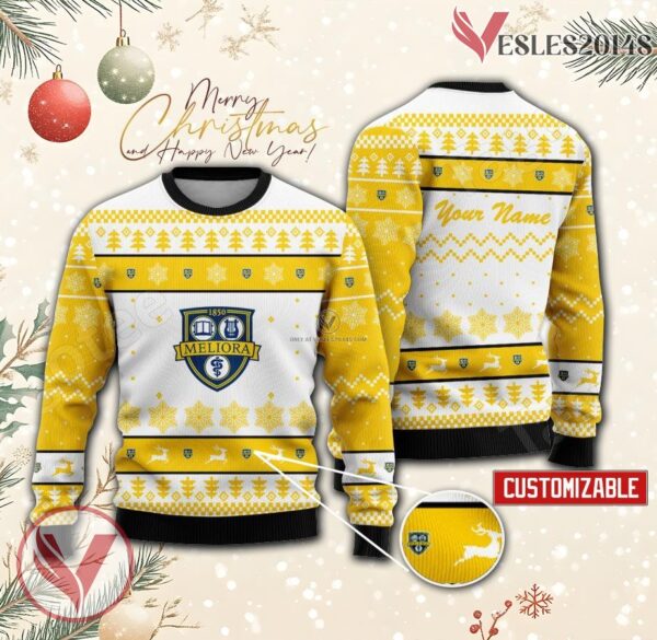 Mayo Clinic College of Medicine and Science Custom Ugly Christmas Sweater, Unique Gift For Fans - Vesles2014s
