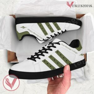 Zion Massage College Print Stan Smith Shoes, Unique Sneaker For Fans - Vesles2014s 1